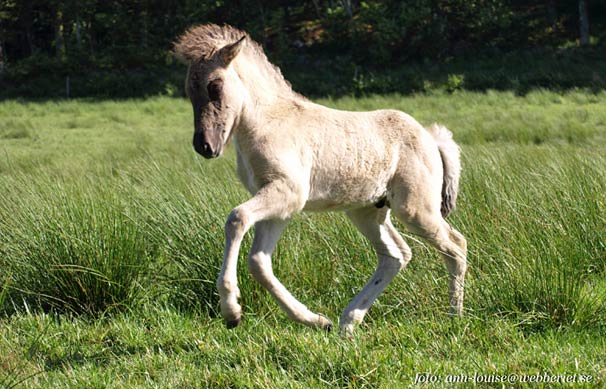 En och en halv m&aring;nad 