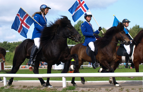 Hector  6 &aring;r,  1 maj Landi v&aring;r