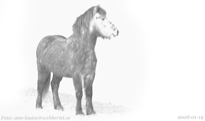 Herjann fr&aring;n Sundsby