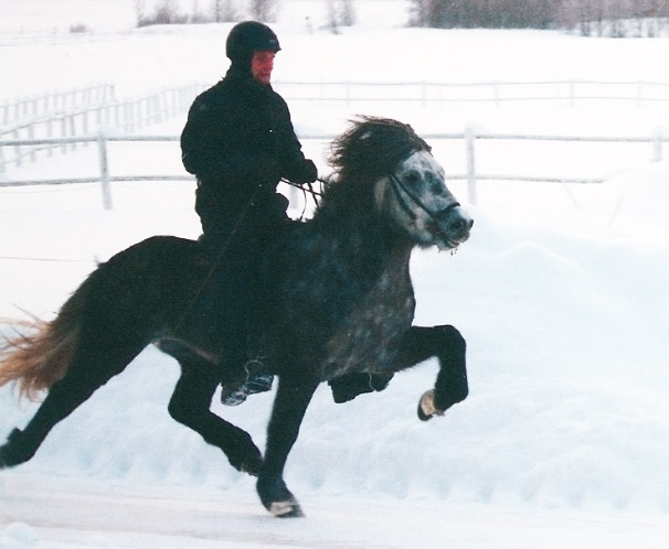 Isac fr&aring;n Sundsby