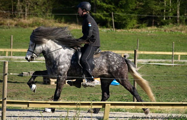 Isac. Landi v&aring;r 1 maj 2011
