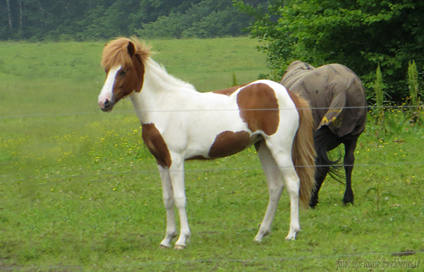 L&yacute;sa 1 &aring;r