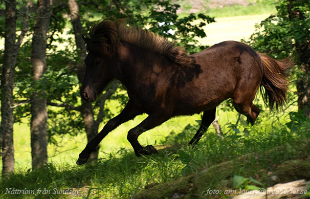 N&aacute;ttr&uacute;n 1 &aring;r