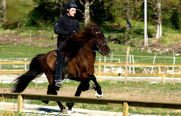 Oliver 7 &aring;r. Landi v&aring;r 1 maj 2011.