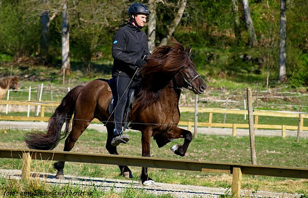 Oliver 7 &aring;r. Landi v&aring;r 1 maj 2011.