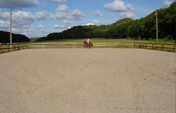 Webmaster'n och hennes h&auml;st