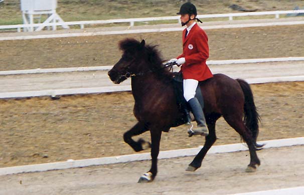 R&aacute;n p&aring; Landsmot p&aring; Island. Fotograf ok&auml;nd
