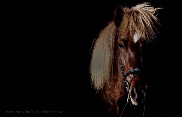 T&aacute;ta fr&aring;n Sundsby