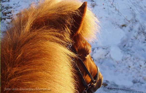 Tata fr&aring;n ovan