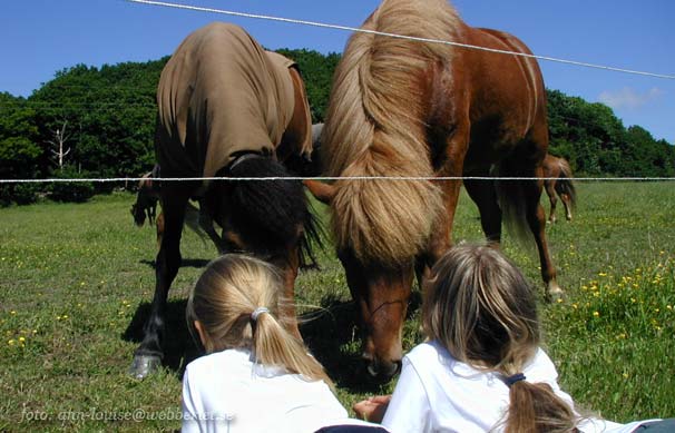 N&auml;r T&aacute;ta blev v&aring;r