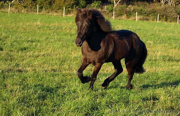 Viktor fr&aring;n Sundsby
