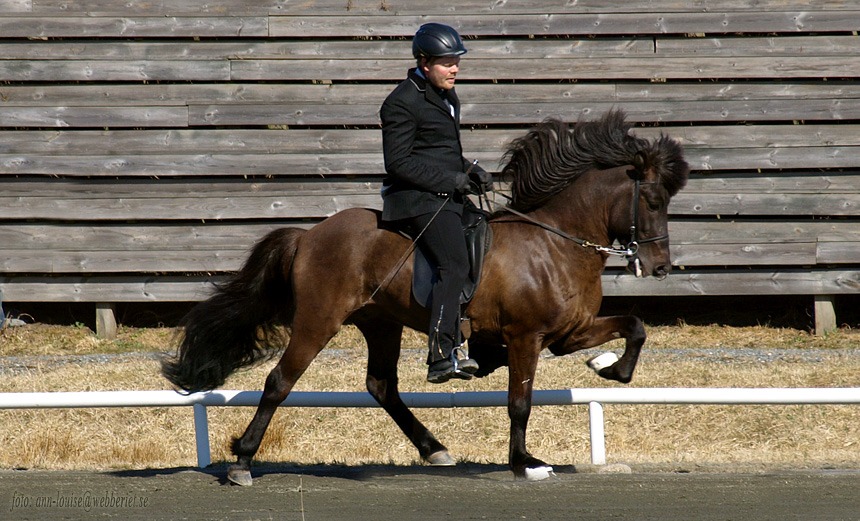 Oliver fr&aacute; Kvistum 20 april 2013, S&auml;vebanan