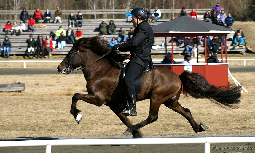 Oliver 20 april 2013, S&auml;vebanan