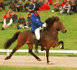 Blaeja fr&aacute; H&oacute;lum. Photograph ?