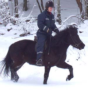 Disa i sn&ouml;n 2004