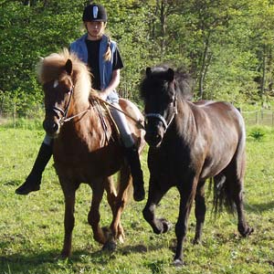 Disa som handh�st 2006