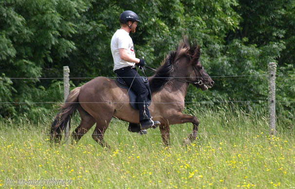 V&aring;r lilla nykomling