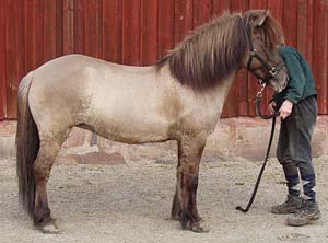 Flj&oacute;&eth; i april 2004