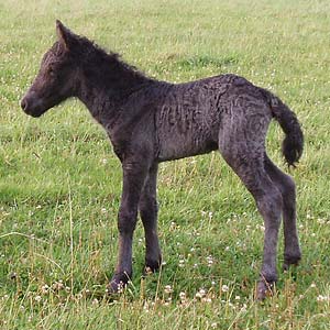 Fjodor f&ouml;dd 2006. 1 dag gammal