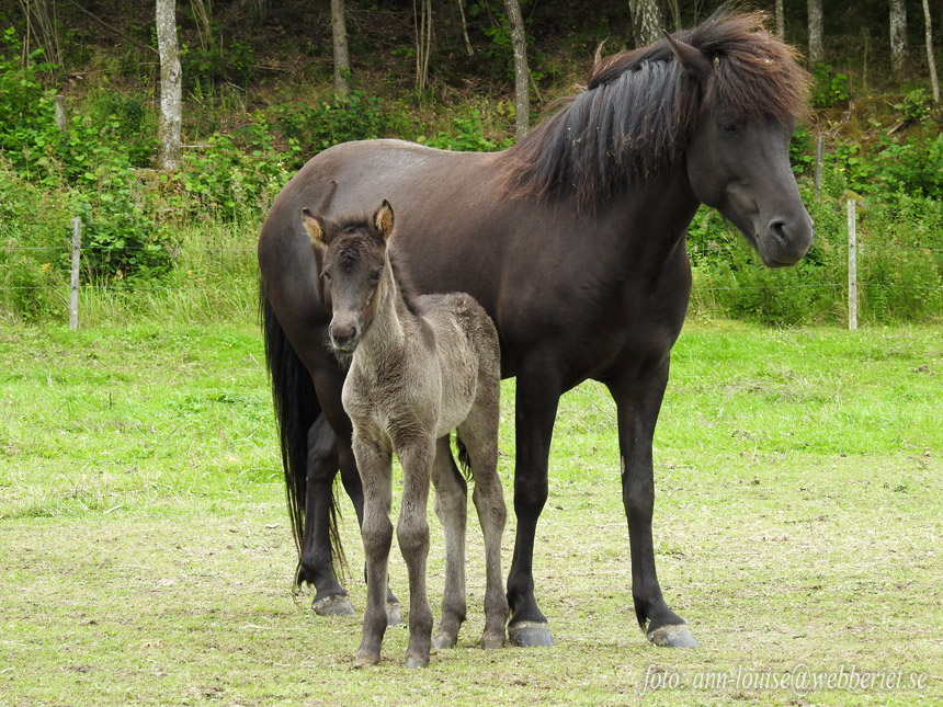 My och f�l ca 10 dagar gammal