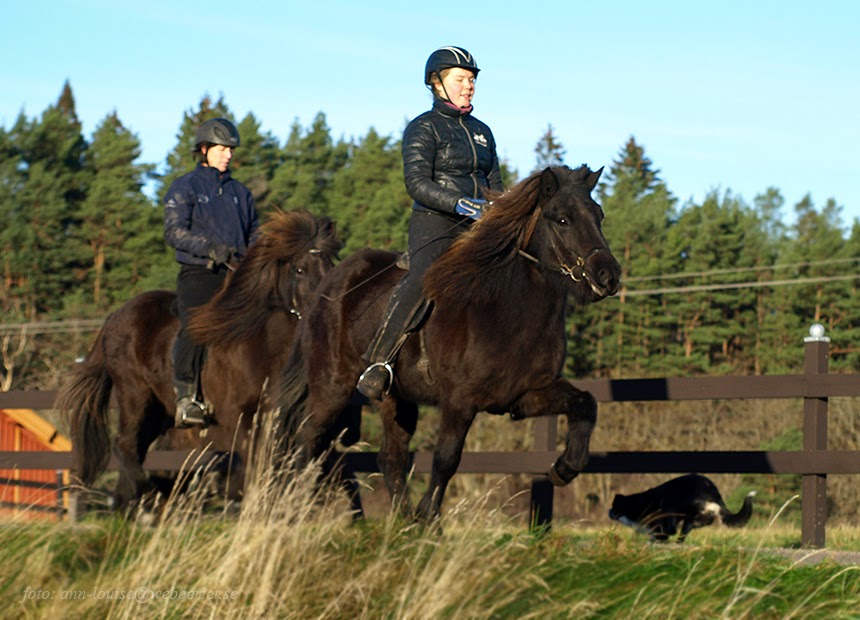 Nattrun 3 &aring;r, (mamma Hekla bakom)