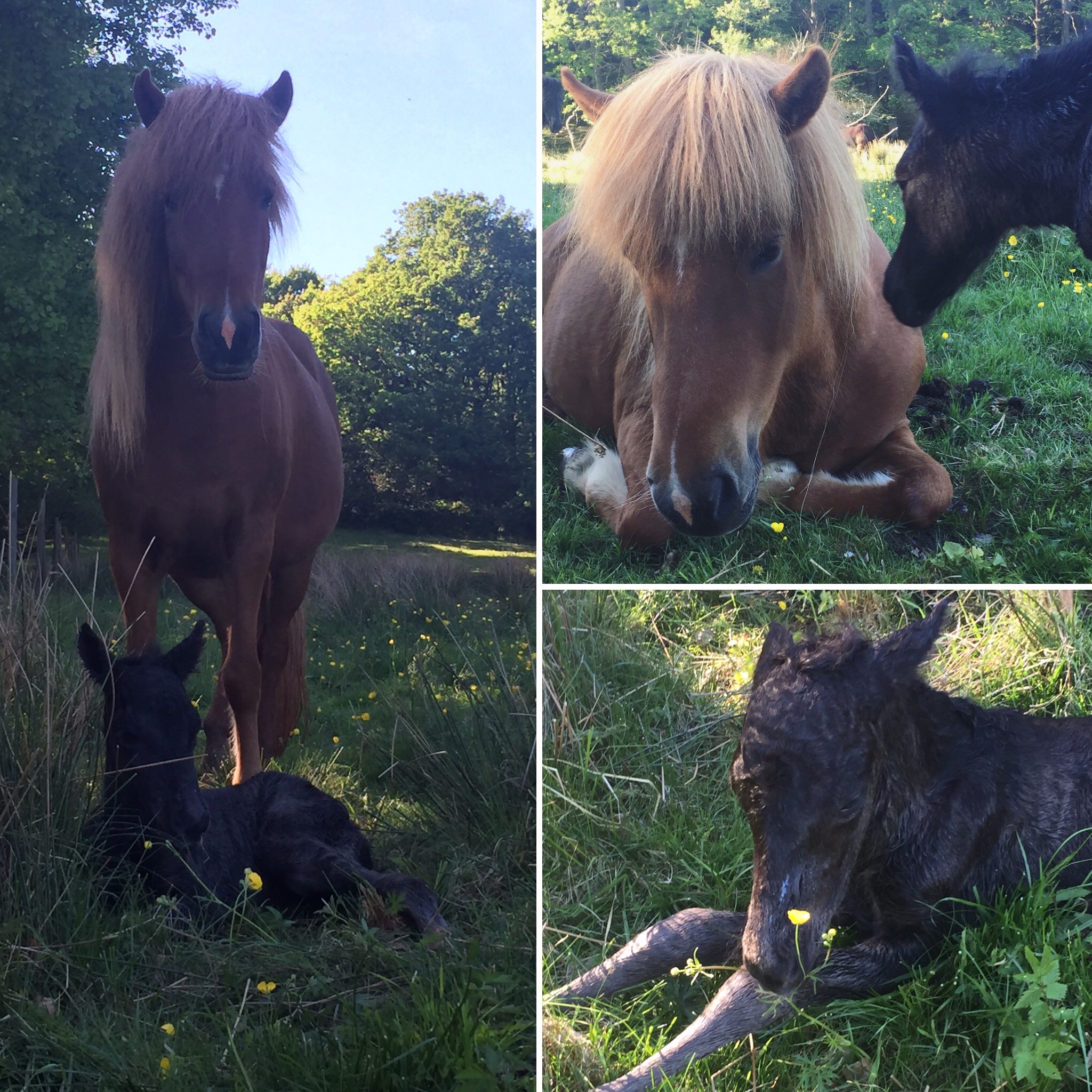 N�gra minuter gammal. Foto: Ann-Louise Svensson