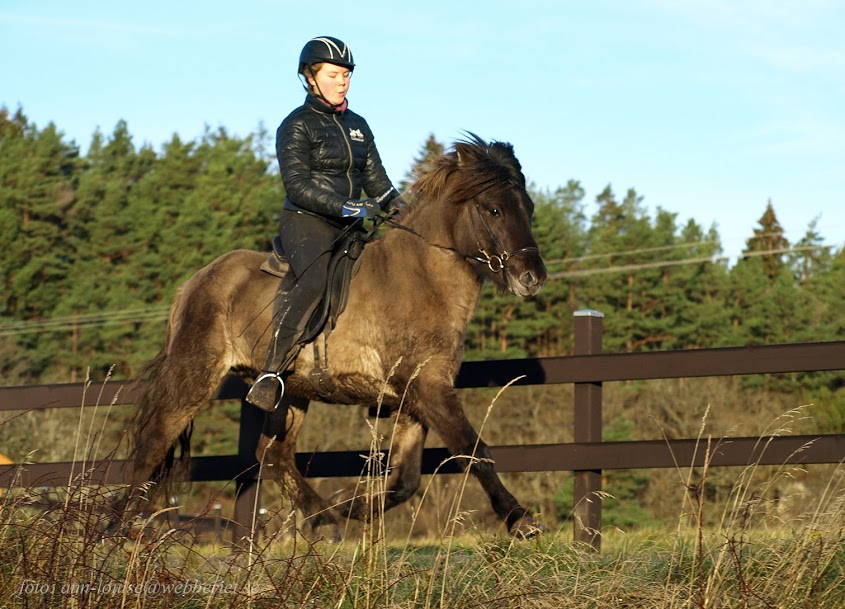 &Oacute;li "Mirakel" fr&aring;n Sundsby, 3 &aring;r. Foto: Ann-Louise Svensson 