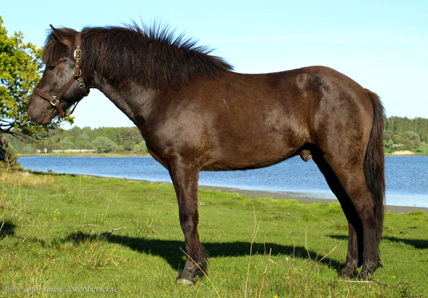 Oscar fr&aring;n Sundsby 3 &aring;r
