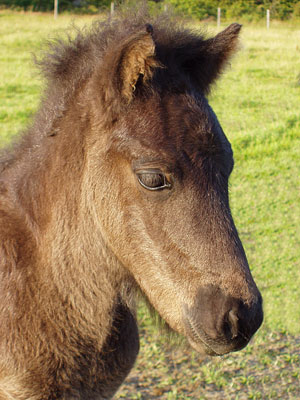 En m&aring;nad gammal