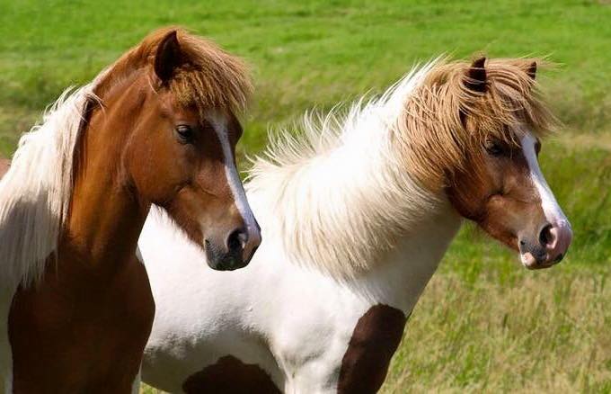 Saeta 3 &aring;r till v&auml;nster i bildhelsyster Lysa sommaren 2016