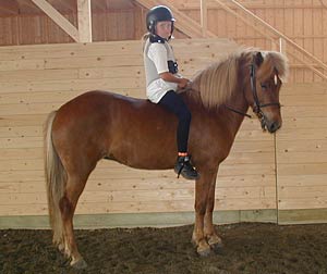 T&aacute;ta i ridhuset