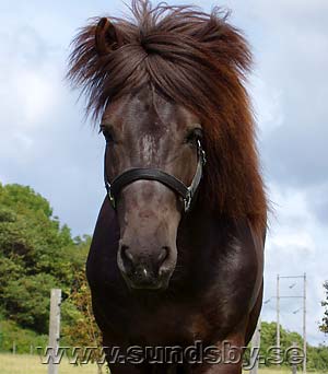Viktor fr&aring;n Sundsby juli 2004. 